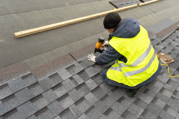 Best Roof Gutter Cleaning  in Dublin, VA